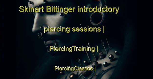 Skinart Bittinger introductory piercing sessions | PiercingTraining | PiercingClasses | SkinartTraining-United States